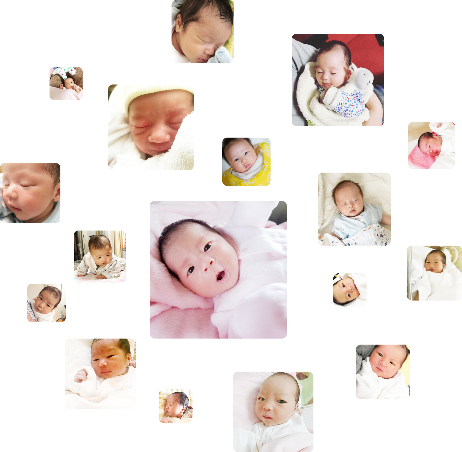 赤ちゃん写真